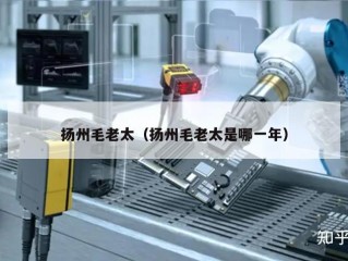 扬州毛老太（扬州毛老太是哪一年）